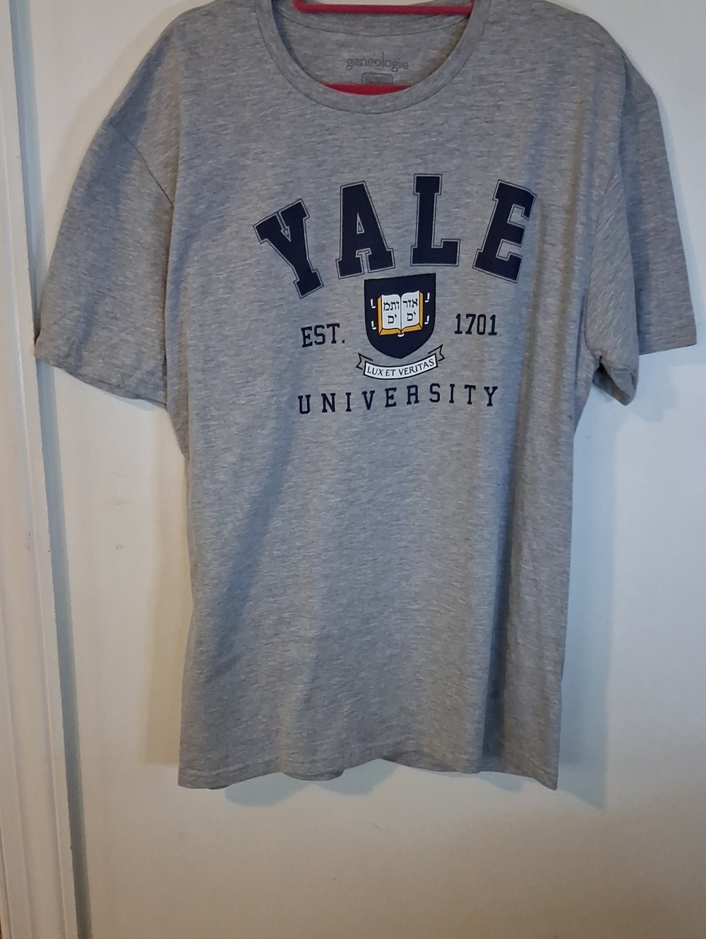 Grey Short-Sleeve Crewneck T-Shirt